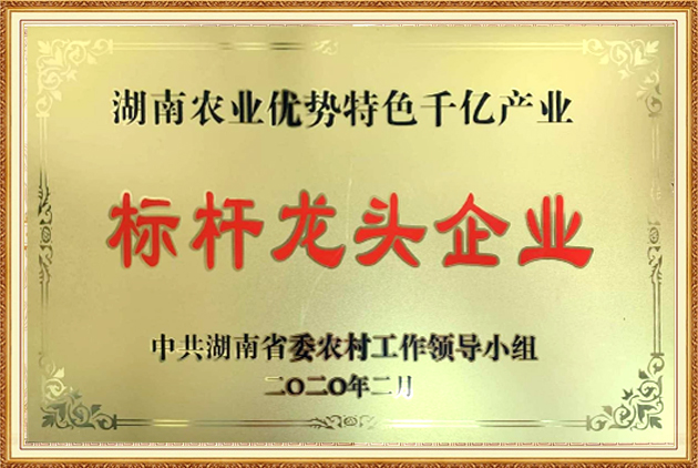 標桿龍頭企業(yè)