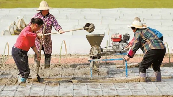 湖南日報丨聚力打造“生物制造谷”——常德貫徹落實全國兩會精神，推動合成生物制造產(chǎn)業(yè)高質(zhì)量發(fā)展