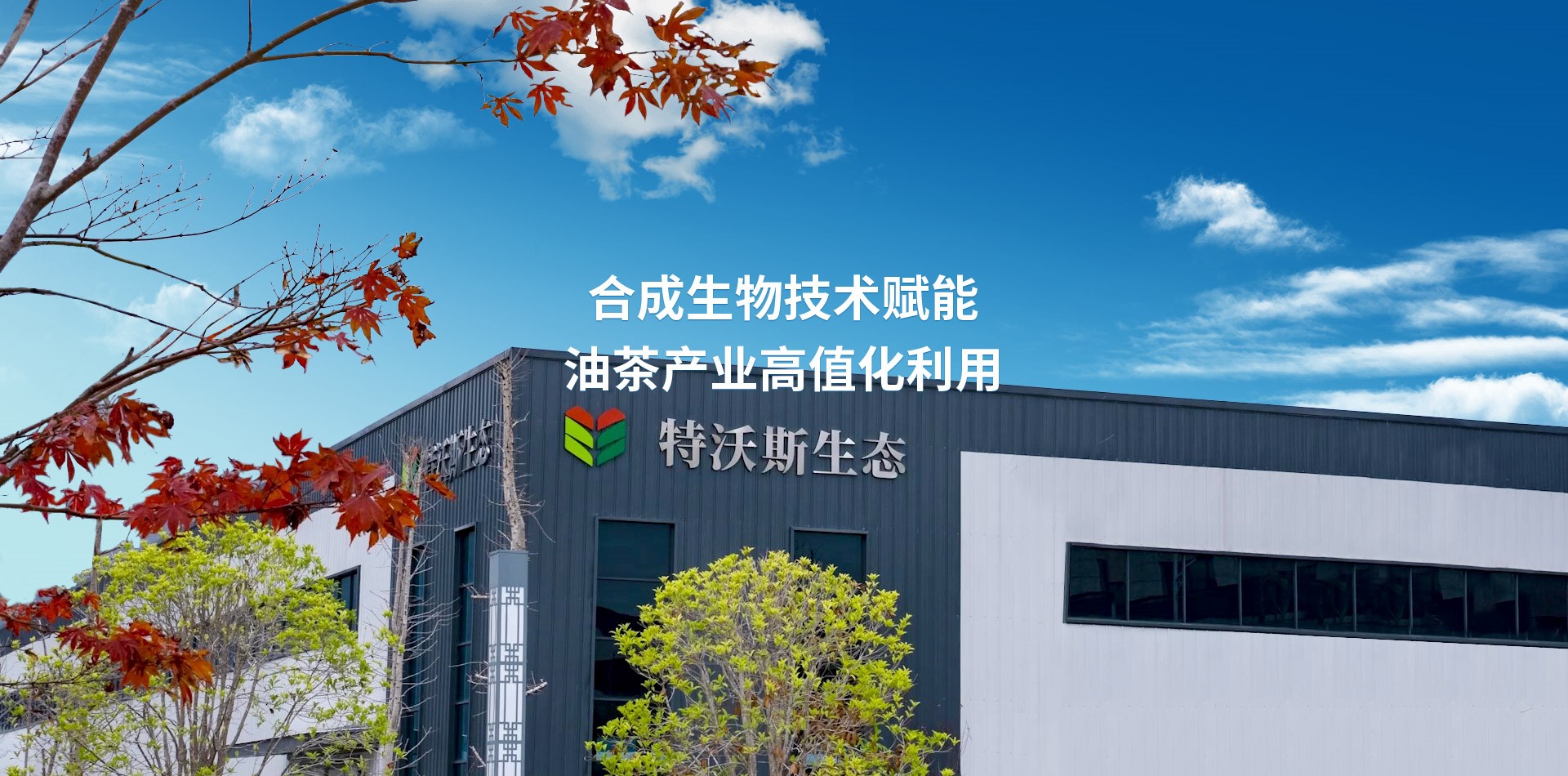 關(guān)于我們